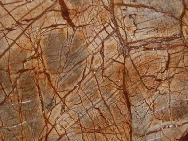 Rainforest Brown Marble Exporter